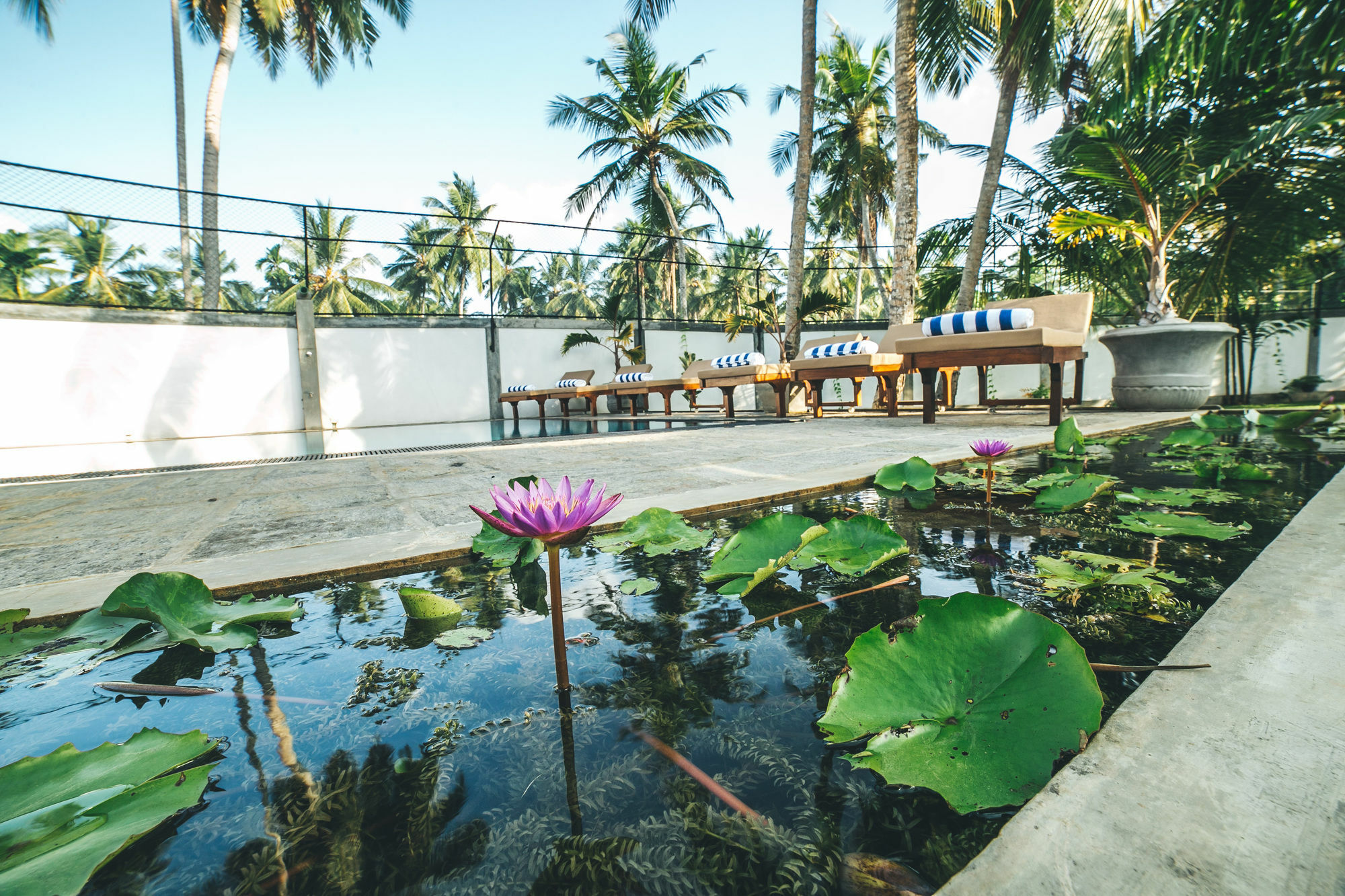 Sisikirana Villa Unawatuna Ngoại thất bức ảnh